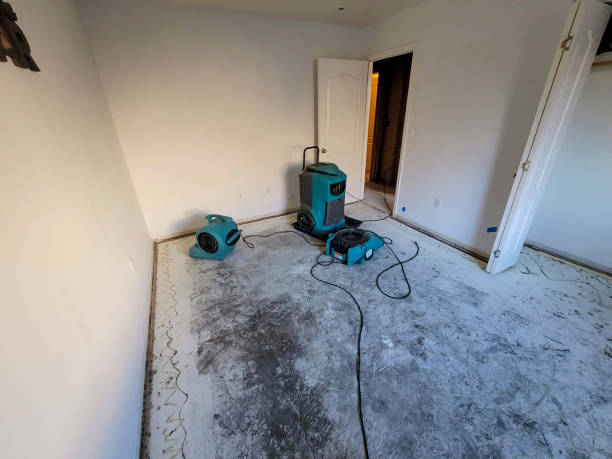Best Local water damage restoration  in Heidelberg, TX