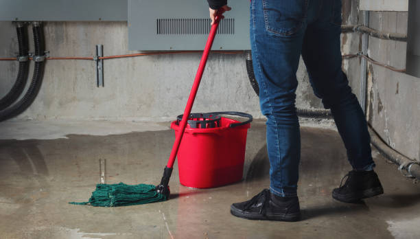 Best Commercial water damage restoration  in Heidelberg, TX