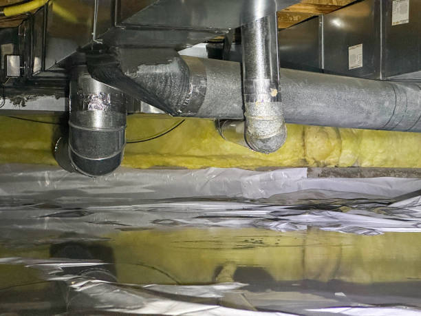 Best 24-hour water damage restoration  in Heidelberg, TX