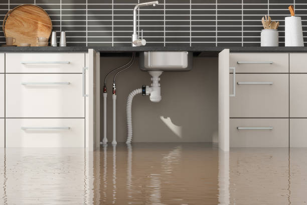 Best Sewage cleanup and water damage restoration  in Heidelberg, TX